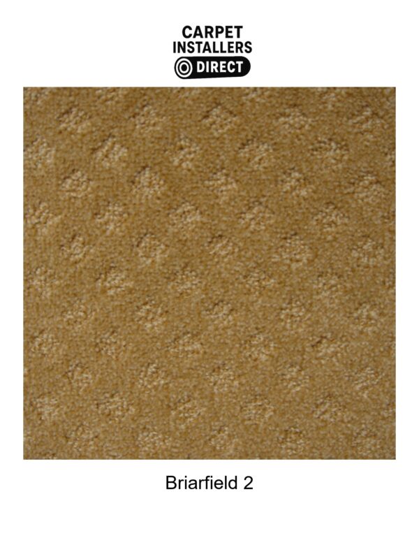 Briarfield - Image 3