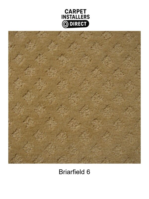 Briarfield - Image 7