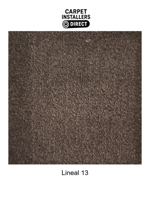 Lineal - Image 14