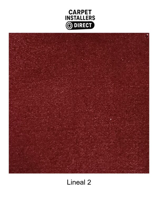 Lineal - Image 3