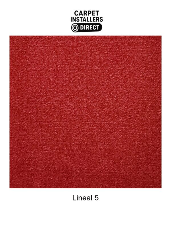 Lineal - Image 6