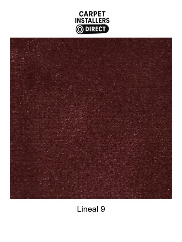 Lineal - Image 10