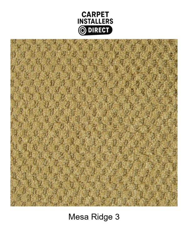 Mesa Ridge - Image 4
