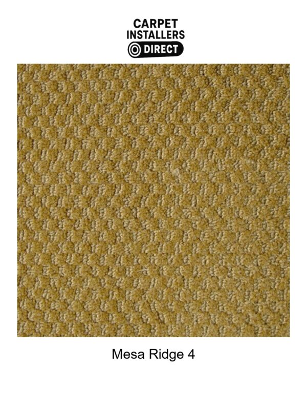 Mesa Ridge - Image 5