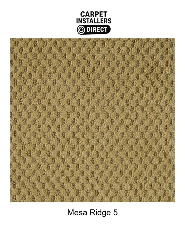Mesa Ridge - Image 6
