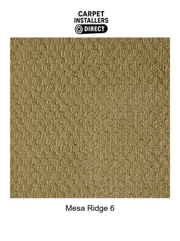 Mesa Ridge - Image 7