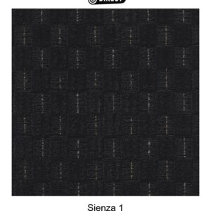 Sienza