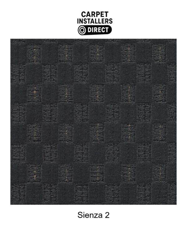 Sienza - Image 3