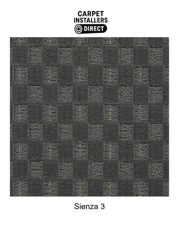 Sienza - Image 4