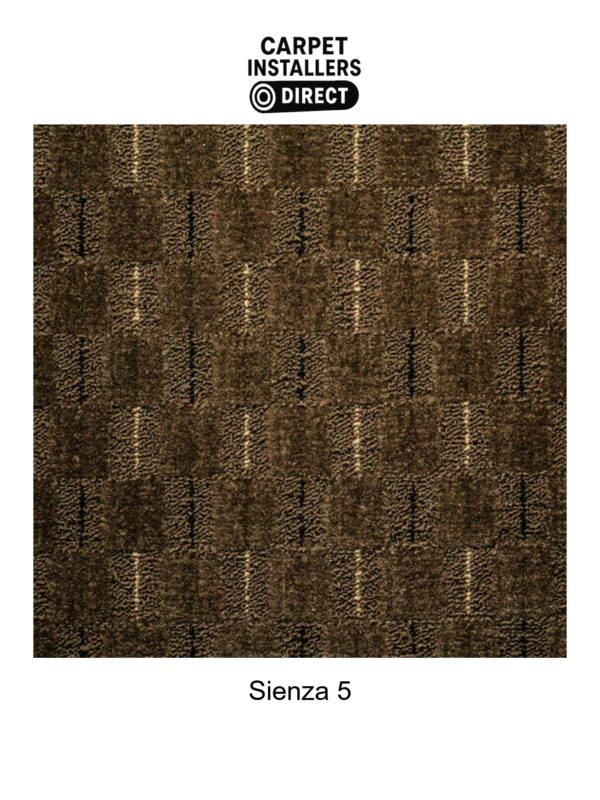 Sienza - Image 6